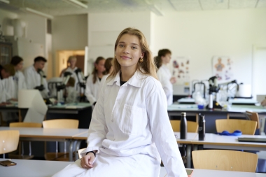 Forsidebillede for projektet Sundhedslinjen