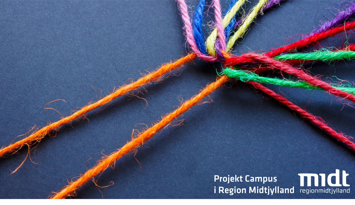 Projekt Campusdannelse i Region Midtjylland