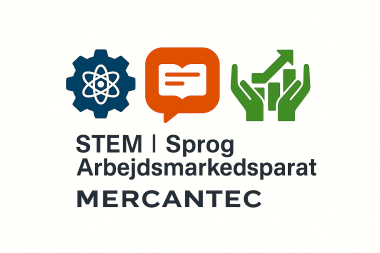 Forsidebillede for projektet Pilotprojekt: STEM, sprog og arbejdsmarkedsparat