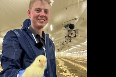 Forsidebillede for projektet Fremtidens fjerkræavlere og -producenter som aktive forandringsagenter...