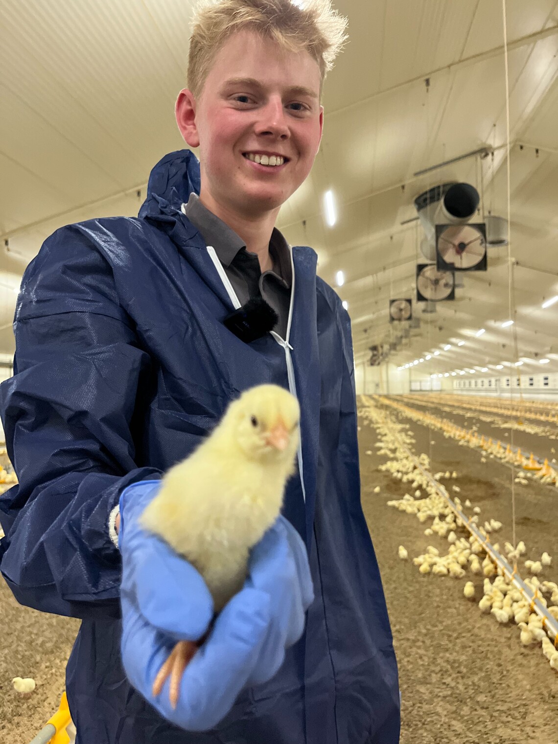 Fremtidens fjerkræavlere og -producenter som aktive forandringsagenter i den grønne omstilling