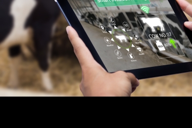 Forsidebillede for projektet Levende læring – fra præcision i husdyrproduktionen til refleksion i k...