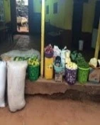 Projekt Ghana - Internationalisering i en ny visionær pædagogisk rammesætning
