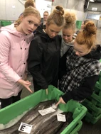 EU i Midtjylland - Bæredygtige studierejser i egen region