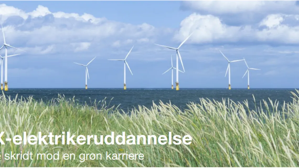 Grønne uddannelsesstier