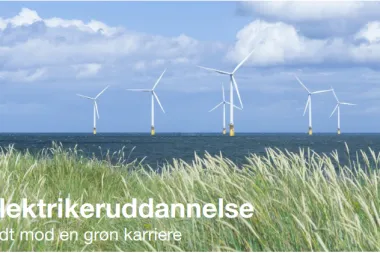 Forsidebillede for projektet Grønne uddannelsesstier