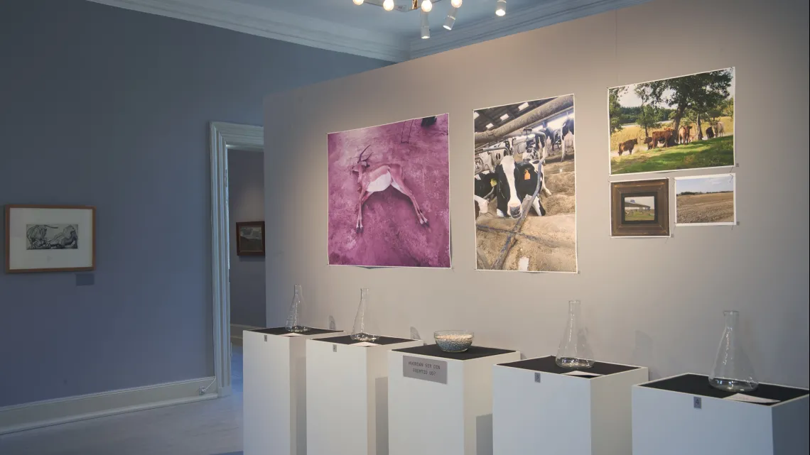 STEAM på museer