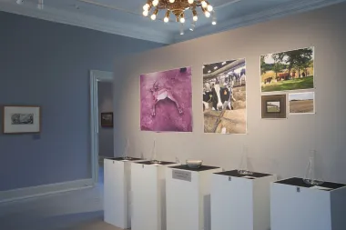 Forsidebillede for projektet STEAM på museer