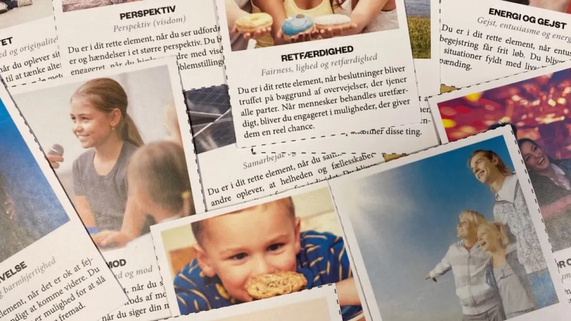 Den styrkebaserede tilgang