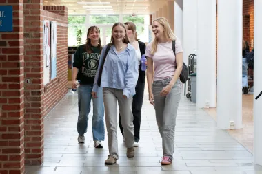 Forsidebillede for projektet Sprog og kultur som konkurrencefordel