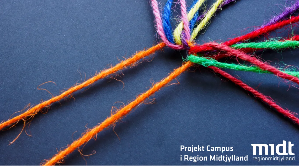 Projekt Campusdannelse i Region Midtjylland